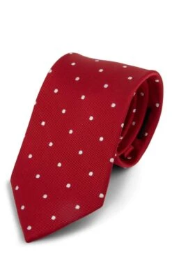 Polka Dot Woven Silk Tie