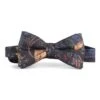 Paisley Duck Silk Bow Tie