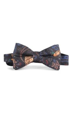 Paisley Duck Silk Bow Tie