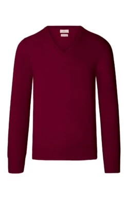 Men's Merino V Neck -Fashion Men Clothing Store TT04894BURGUNDY 1